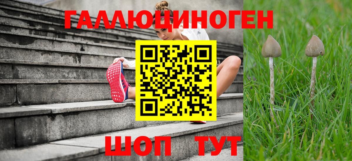 Псилоцибиновые грибы мицелий  Вход с VPN  купить закладку  Бийск  Псилоцибиновые грибы Cubensis 