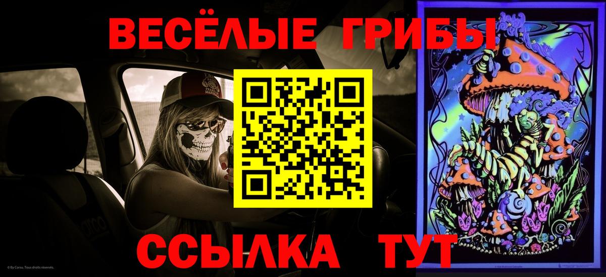 Псилоцибиновые грибы MAGIC MUSHROOMS Бийск