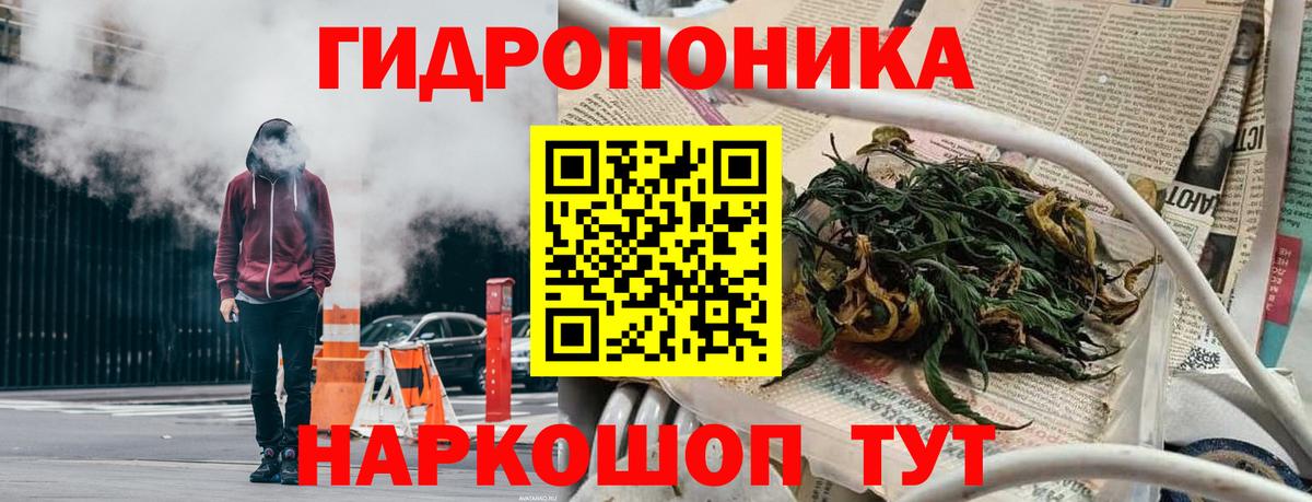 Каннабис план Бийск